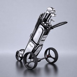 Zeige Details für Geum Elektro-Trolley mit Fernbedienung Bild von Geum Elektro-Trolley mit Fernbedienung